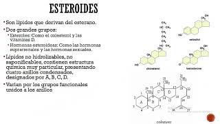 Bioquímica médica clase 17 biomoléculas orgánicas lípidos parte 2 [upl. by Ennairol]