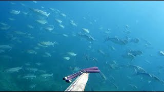 Pescasub PAZZESCO  SONO STATO CIRCONDATO  Spearfishing  AKASO [upl. by Sampson]