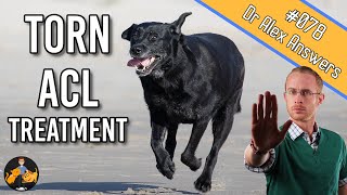 The Best Torn Dog ACL Treatment  Surgery or Home Management  Dog Care Vet Advice [upl. by Attiuqihc]