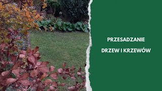 Jesienne prace w ogrodzie przesadzanie krzewów ozdobnych [upl. by Enelaehs]