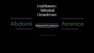 Abdominal Circumference AC [upl. by Eerihs]