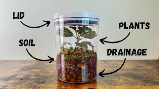 The Quickest Guide to Closed Terrariums [upl. by Fanni365]