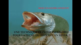 Une technique Infaillible pour pecher le brochet en hiver [upl. by Devland]