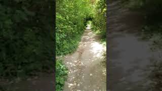 Safety on Worthing Special Path  Part 2 runners and stray golf balls [upl. by Lelith550]