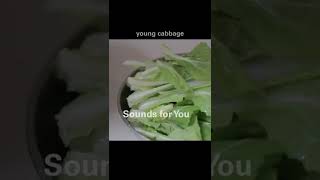 How to cook Fantastic Flavor Chueotang  추어탕 Mudfish Soup Loach Soup ASMR shorts [upl. by Tally]