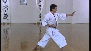 Wankan  Efthimios Karamitsos  Karate  Kata  Shotokan [upl. by Tung256]