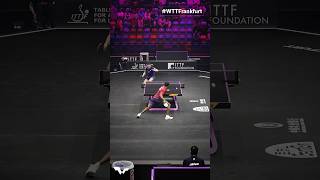 Beast mode 💥 WTTFrankfurt TableTennis [upl. by Sibelle]