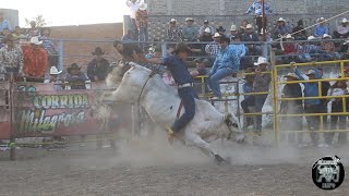 6 Jugadas de Los Toros Divinos de Rancho Los Laureles de Juan el Profeta Diaz [upl. by Dnomse909]