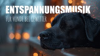 Entspannungsmusik für Hunde bei Gewitter Beruhigende Klänge für Ruhe und Sicherheit [upl. by Airyt]