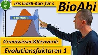 Evolution 1 Evolutionsfaktoren  Grundwissen  Übersicht  Training Wortschatz Keywords BioAbi [upl. by Neirbo]