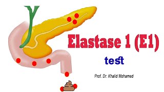 Pancreatic Elastase E1 test [upl. by Cheri]