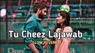 Tu Cheez Lajawab  Sapna Chaudhary  Pardeep Boora  Full Song Slow Reverb  New Haryanvi Songs 💯 [upl. by Ayikaz946]