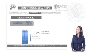 Microestructura de las Fibras Textiles  211  UPV [upl. by Durarte735]