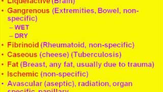 Medical School Pathology Chapter 1c [upl. by Eirrab]