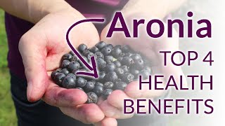 The Top 4 Amazing Aronia Berries Health Benefits [upl. by Aeel]