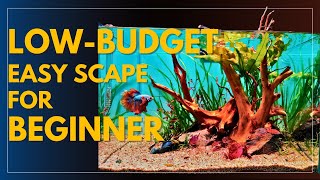 Betta Fish Tank Set Up Easy Low Budget Live Plants Aquarium Step by step tutorial [upl. by Doris]