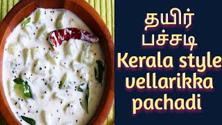 வெள்ளரிக்காய் தயிர் பச்சடி Vellarikkaai thayir pachadi recipe in Tamil side dish for lunch [upl. by Akimot]