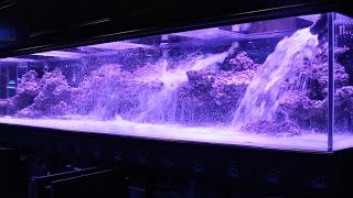 800 Aquarium pt2 Aquascape  Floating Shelf [upl. by Savanna900]