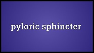 Pyloric sphincter Meaning [upl. by Fenella]