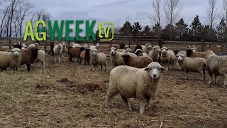 AgweekTV Full Episode 011324 S10E2 [upl. by Anitsyrc]