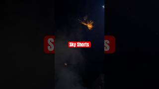 Skyshorts fireworks chinesefireworks diwali newyear diwalicelebration celebration shorts [upl. by Nuahsyar]