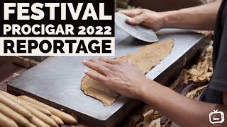 Festival Procigar 2022 🍂 [upl. by Nigem]