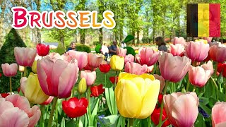 BEAUTIFUL TULIPS GARDEN AT FLORALIA BRUSSELS  BELGIUM  ELLASLIFE [upl. by Waverley]