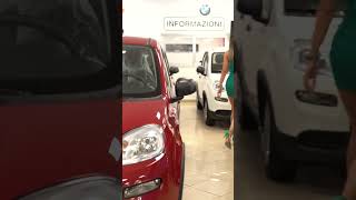 ROTOLO AUTOMOBILI A TORINO TI ASPETTA CON TANTISSIME FIAT PANDA in PRONTA CONSEGNA fiatpanda [upl. by Akkahs482]