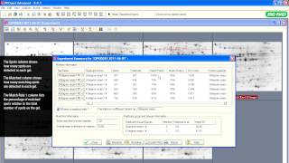 PDQuest™ Software Tutorials — Experiment Summary Tools for Spot Rematching [upl. by Hermy]