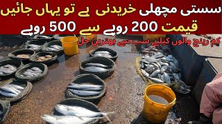 Karachi Ki Sasti Fish Market  Ibrahim Hyderi Fishery Market  Karachi Fishery Latest 2023 [upl. by Naitsabes]