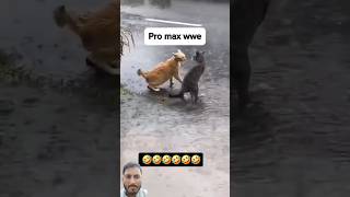 Pro max wwe 😮😮 promax wwe funny shorts [upl. by Htennek]