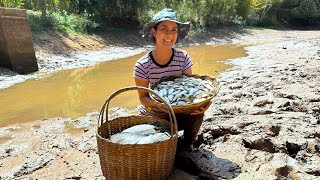 Tempo de seca fizemos a limpeza ecológica do açude e garantimos peixes para muitos dias [upl. by Akitan853]