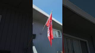 My flag of the day 11 July 2024Mainz Germany [upl. by Letta]