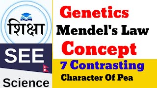 Genetics Mendelism [upl. by Web416]