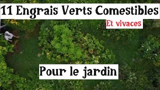 11 Plantes Comestibles Vivaces et engrais verts [upl. by Anitra948]