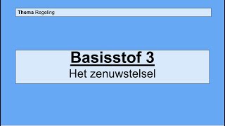 Havo 4  Regeling  Basisstof 3 Het zenuwstelsel [upl. by Beshore202]