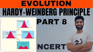 HardyWeinberg principle class 12th Evolution NCERT Biology [upl. by Erikson]