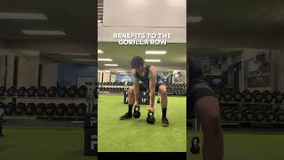 Gorilla Rows For Core And Back Strength Shorts Fitness StrengthTraining [upl. by Biles]