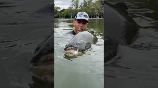 Tambaqui do córrego das antas é diferenciado 🔥🚀 Monstro na antena 📡🔥 fish fisher pescaria [upl. by Elohc]