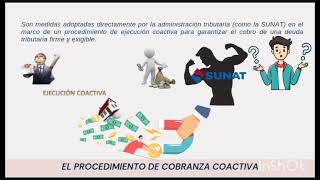 Diferencia entre las medidas cautelares previas y las de procedimiento de cobranza coactiva [upl. by Eadwina]