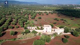 Fasano antica Masseria con uliveto a pochi chilometri dal mare [upl. by Winton377]