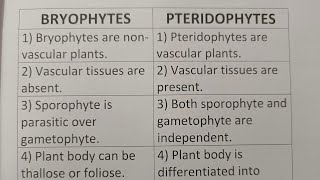 Difference Between Bryophytes And PteridophytesClass Series [upl. by Ettenim]