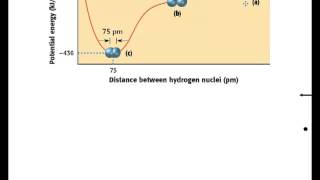 Bonds formed by Carbon  Dont Memorise [upl. by Rafat]