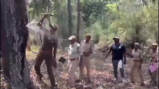 The Andhra Pradesh Forest Department recently conducted an experiment in Papikonda National Park tha [upl. by Tace47]