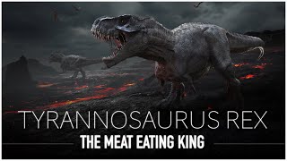 Tyrannosaurus Rex The Scariest amp Most Feared Dinosaur to Walk The Earth  Dinosaur Documentary [upl. by Jaret]