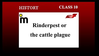 Rinderpest or the cattle plague  the making of a global world  class 10 history ncert [upl. by Nwadal]