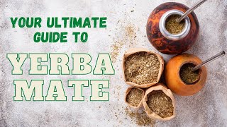 Your Ultimate Guide to Yerba Mate [upl. by Picco]