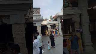 ranganathar temple karamadaiஅரங்கநாதர் கோவில் காரமடை [upl. by Yhtnomit165]