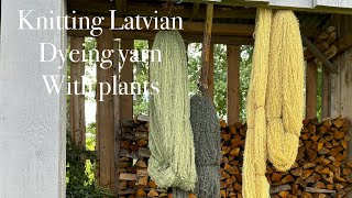 Dyeing yarn with plants Vlog [upl. by Akimet]