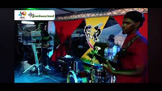 Skankin Sweet greenhouse band [upl. by Loutitia]